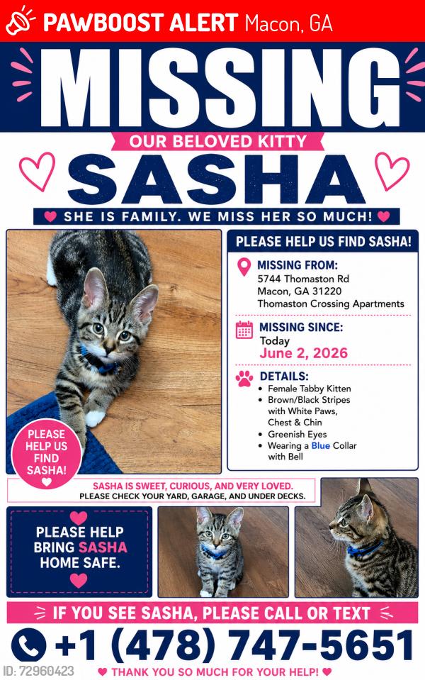 Lost Female Cat last seen Thomason Crossing apmts , Macon, GA 31220