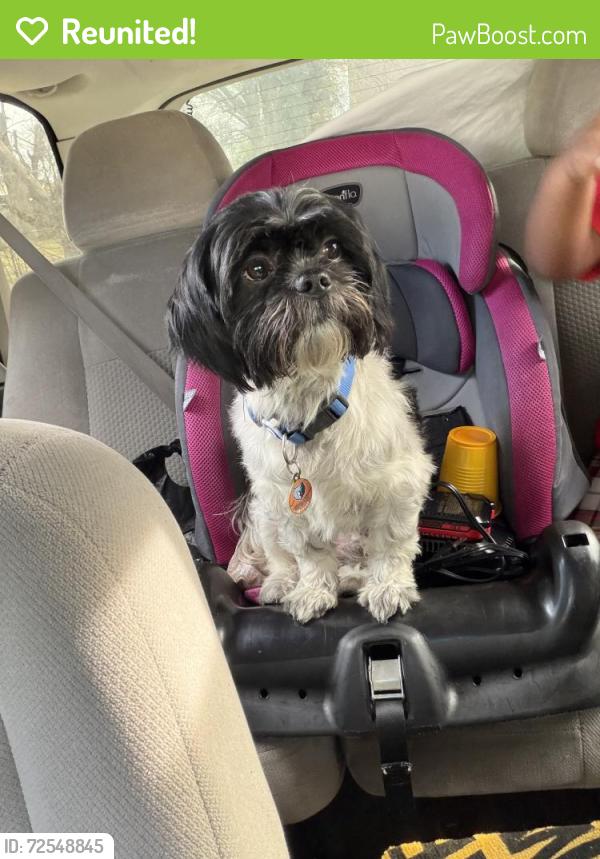 Reunited Male Dog last seen Mallory / Third, Memphis, TN 38106