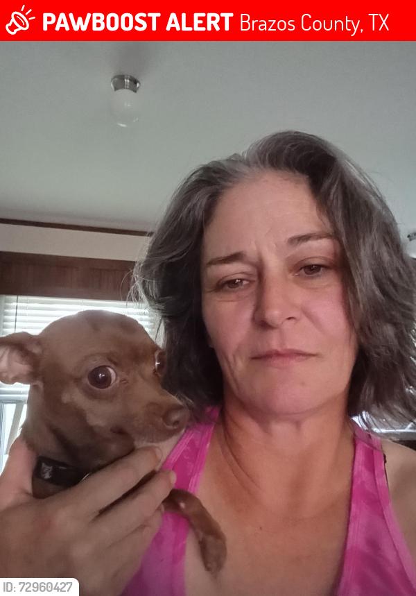 Lost Female Dog last seen Locke Rd , Brazos County, TX 77808