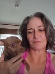 Lost Female Dog last seen Locke Rd , Brazos County, TX 77808