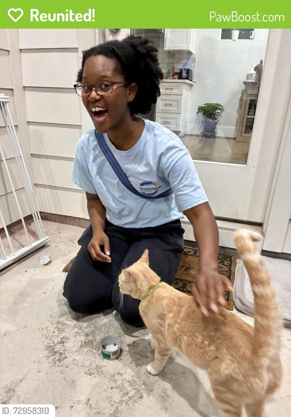 Reunited Unknown Cat last seen Ella & Kinley, Houston, TX 77018