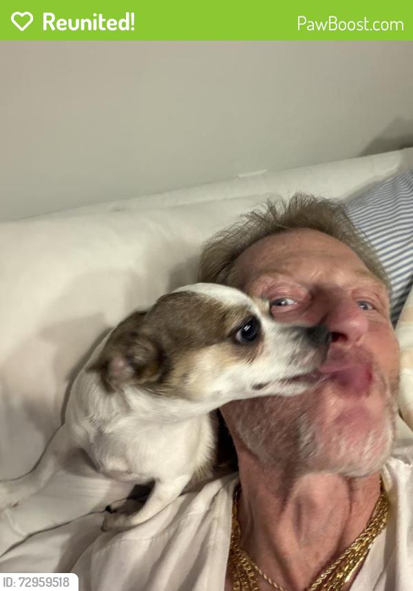 Reunited Female Dog last seen Sierra del sol ave, Las Cruces, NM 88012
