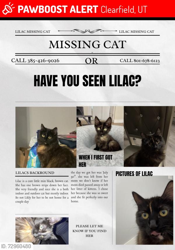 Lost Female Cat last seen Barlow park, Clearfield, UT 84015