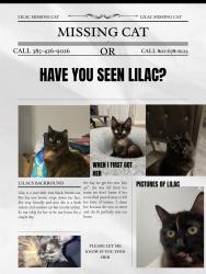Lost Female Cat last seen Barlow park, Clearfield, UT 84015