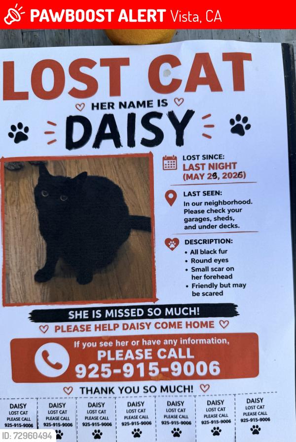 Lost Female Cat last seen Warmlands, Vista, CA 92084