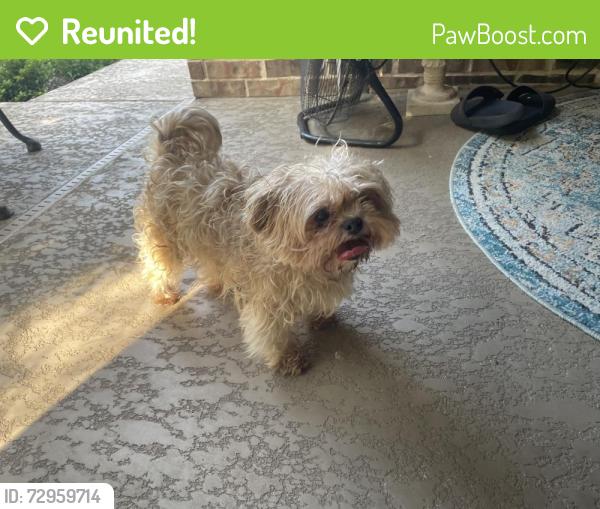 Reunited Unknown Dog last seen Potranco, San Antonio, TX 78253