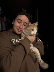 Reunited Female Cat last seen hse, Pembroke Pines, FL 33029