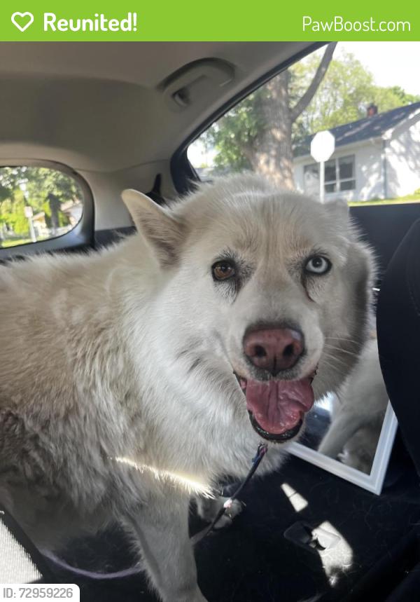 Reunited Unknown Dog last seen Nokomis and Escabana, Saint Paul, MN 55119