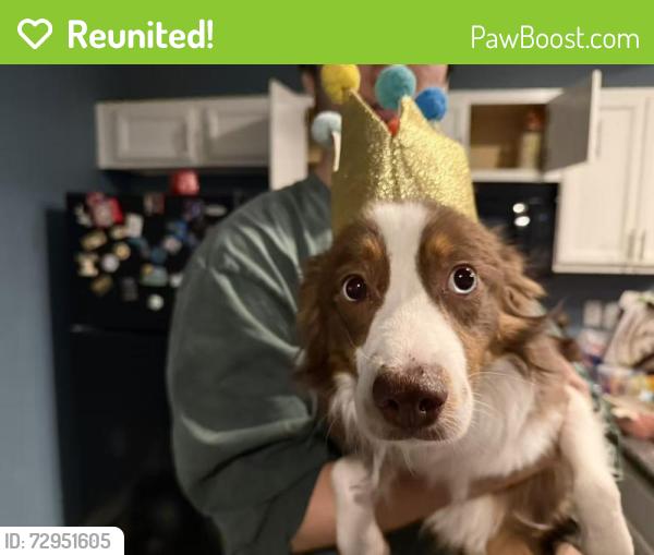 Reunited Female Dog last seen Cinnamon Ridge apmt, Beavercreek, OH 45430