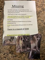 Lost Unknown Dog last seen Near S Creek Rd kadoka SD 57543, Kadoka, SD 57543