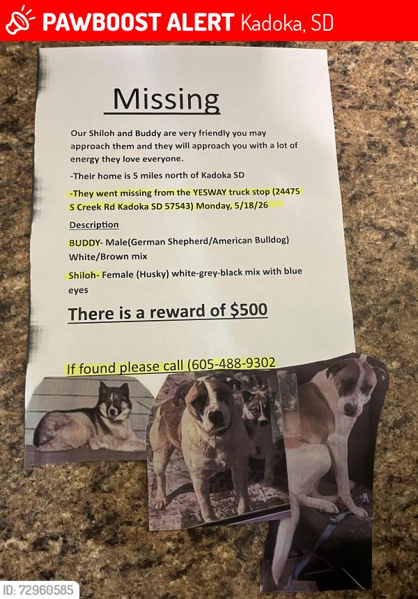 Lost Unknown Dog last seen Near S Creek Rd kadoka SD 57543, Kadoka, SD 57543