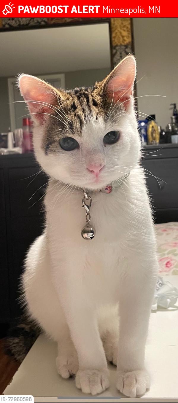 Lost Male Cat last seen Butternut St and 116th Ave , Minneapolis, MN 55448