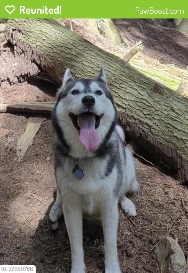Reunited Female Dog last seen Crystal Creek Drive, Anmore, Anmore, BC V3H 0A3