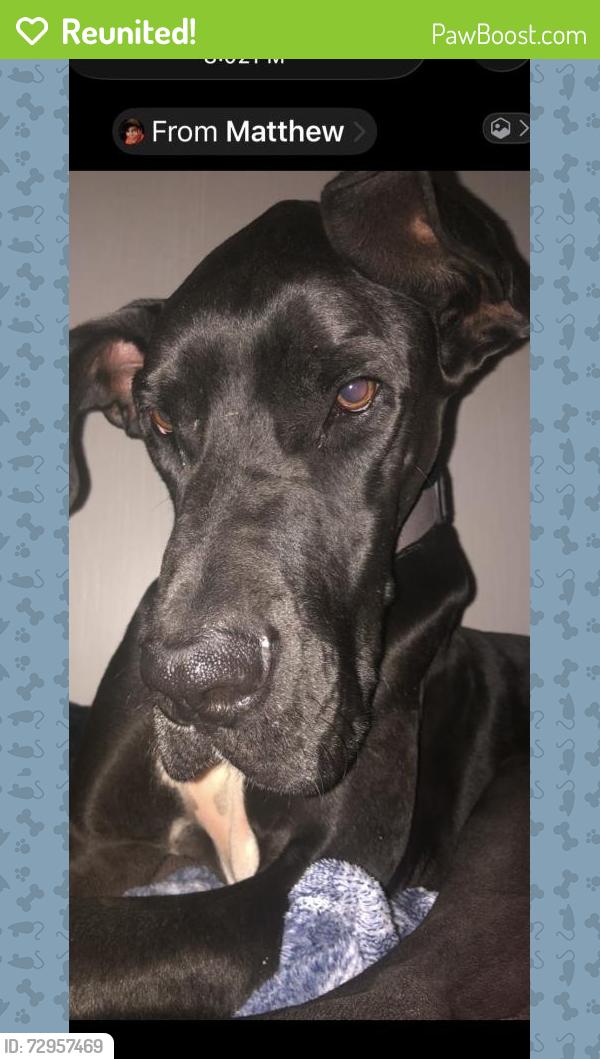 Reunited Male Dog last seen Bobby Gill Rd, Louisiana 70726, USA, Livingston Parish, LA 70726
