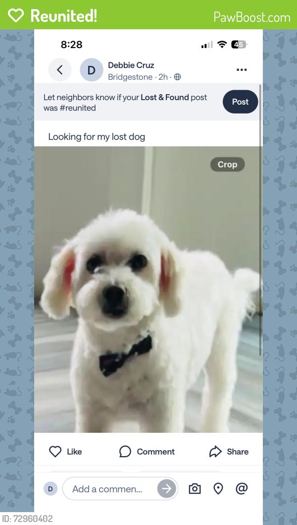 Reunited Male Dog last seen Kuykendahl and Bridgeview Ln, Spring, TX 77388