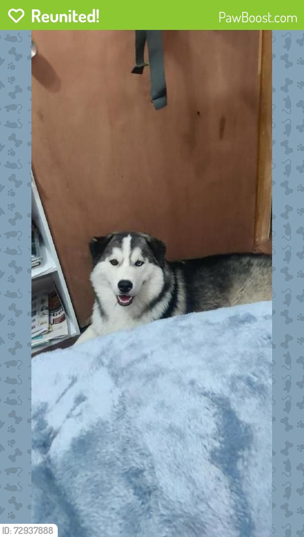 Reunited Male Dog last seen Garth Rd , pruett, main st, Baytown, TX 77521
