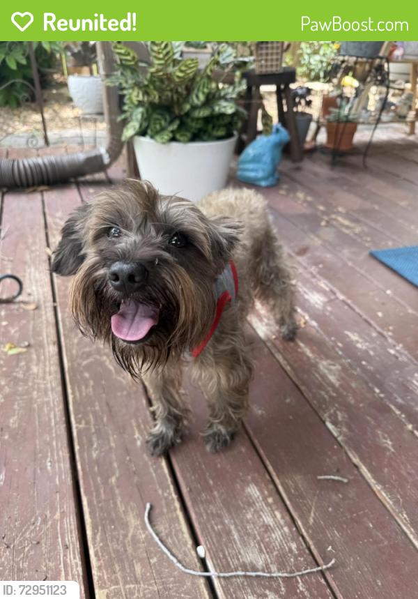 Reunited Male Dog last seen Near fm, Mission Bend, TX 77083