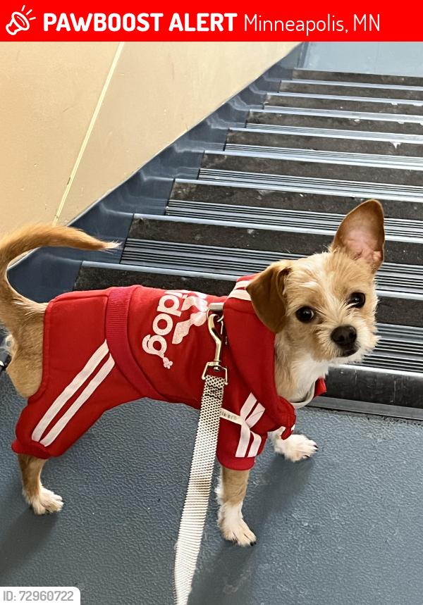 Lost Male Dog last seen 37th an Fremont ave north Minneapolis , Minneapolis, MN 55412