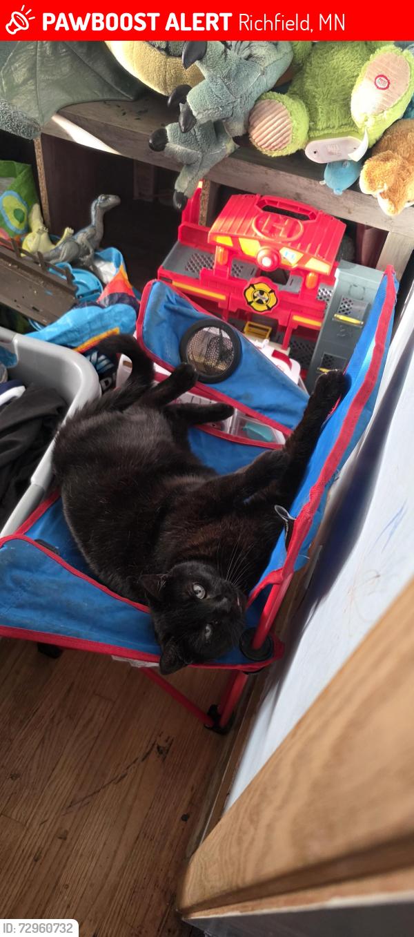 Lost Female Cat last seen 64th and blaisdell, Richfield, MN 55423