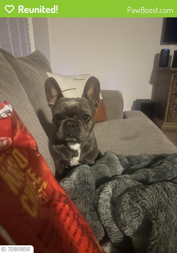 Reunited Female Dog last seen 5th street, Wyndham hill , Temple, TX 76502