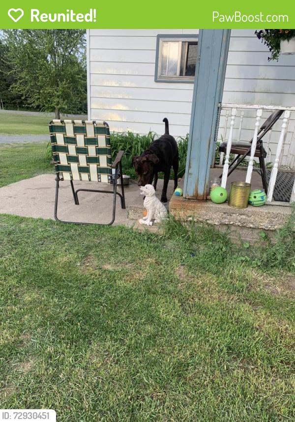 Reunited Male Dog last seen M 57 & Myers Lake AveNE, Rockford, MI 49341