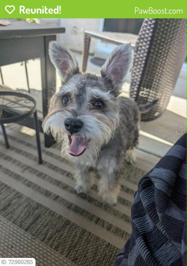 Reunited Male Dog last seen Inez Dr and Galerita St, Oxnard, CA 93030