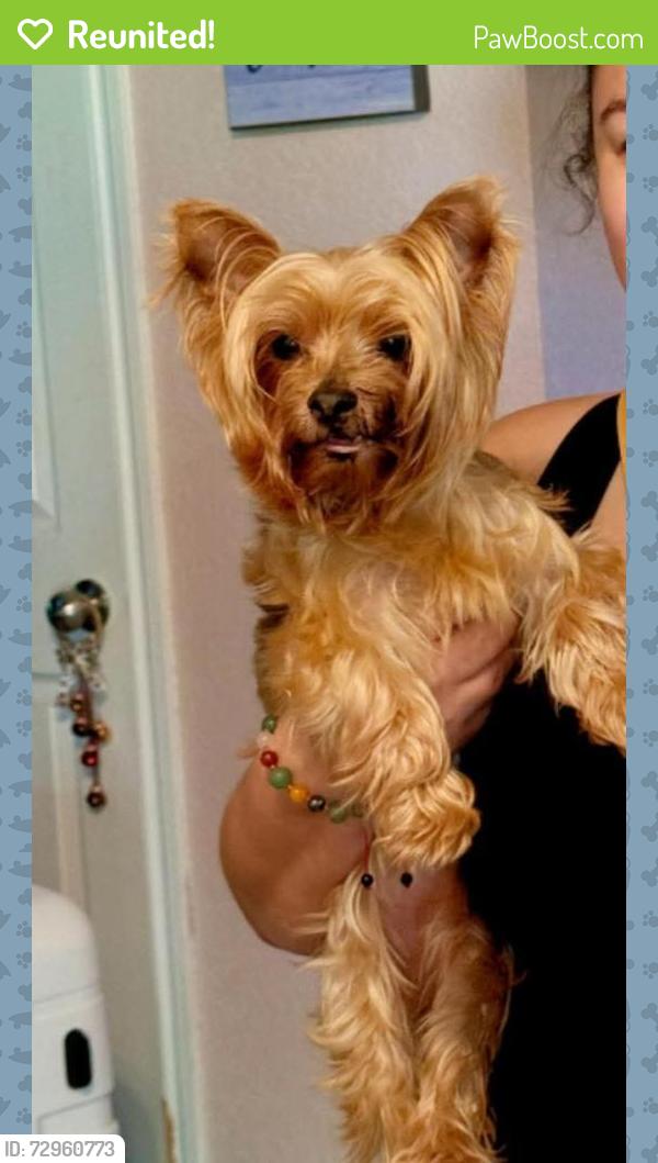 Reunited Female Dog last seen Potranco & Talley Rd, San Antonio, TX 78213