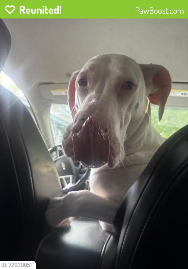 Reunited Female Dog last seen By 5th st, Lawrence, KS 66044
