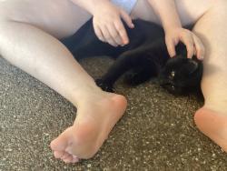 Reunited Male Cat last seen 87MCcelleand, Chester Hill, NSW 2162