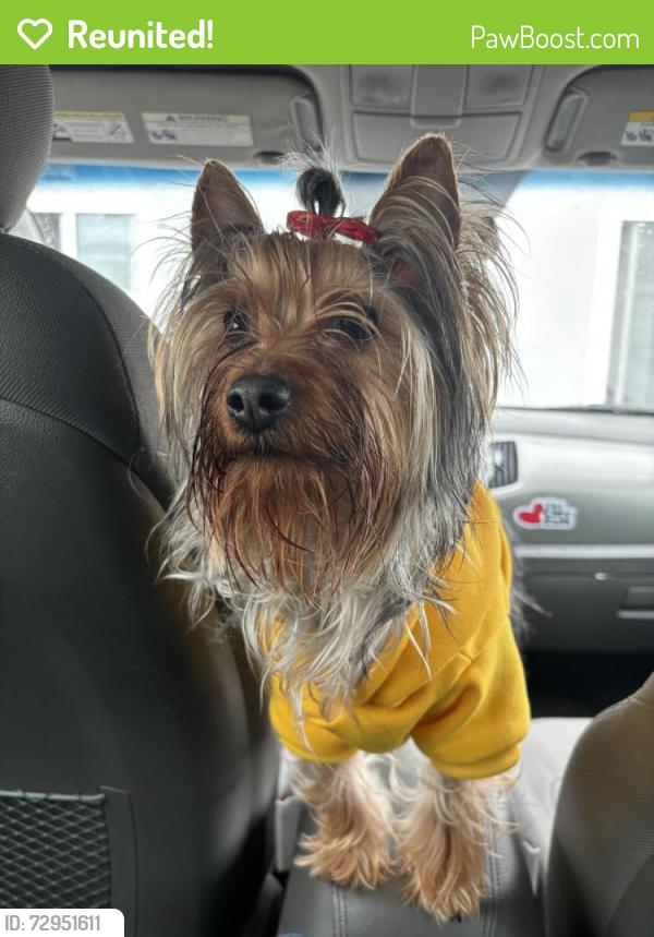 Reunited Male Dog last seen Side Park Parking, Oakland, CA 94605