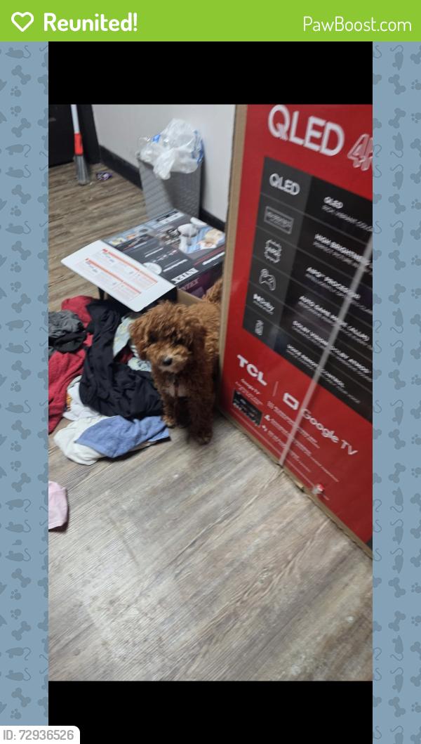 Reunited Male Dog last seen Anniston pointe way, Park Row, TX 77493