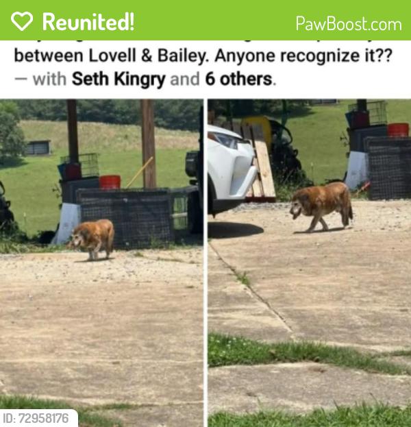 Reunited Male Dog last seen Lovell and Bailey, Rome, GA 30161