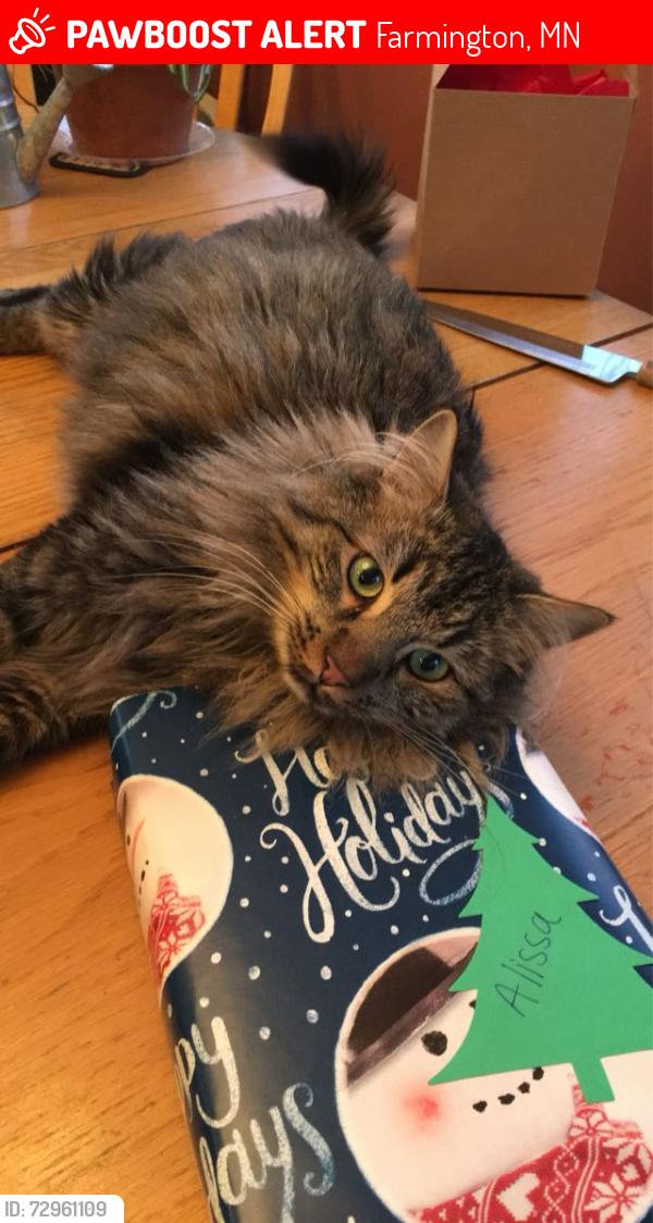 Lost Female Cat last seen 170th near North Trail Elementary , Farmington, MN 55024