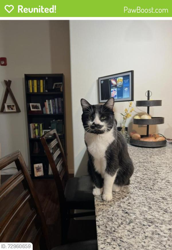 Reunited Male Cat last seen McClain and Hickory, Sherman, TX 75092
