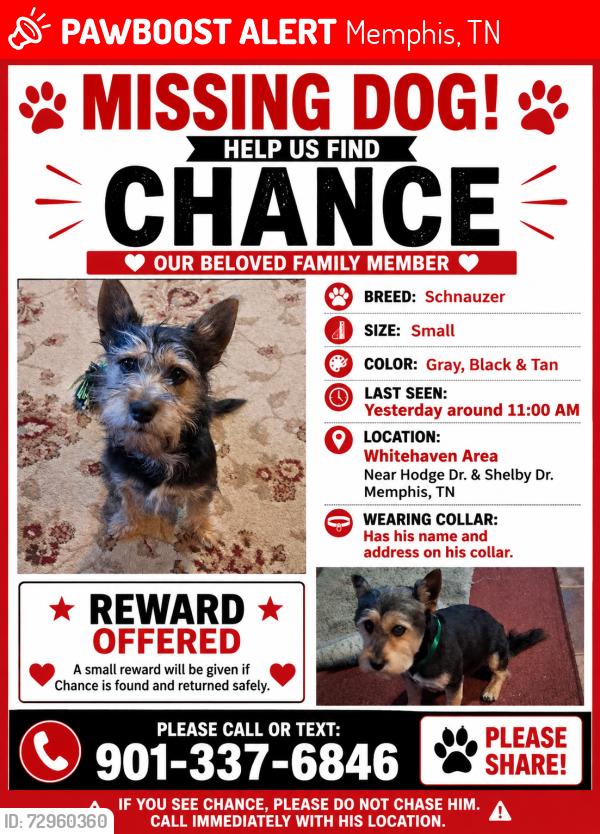 Lost Male Dog last seen Hodge & Shelby Drive, Memphis, TN 38109