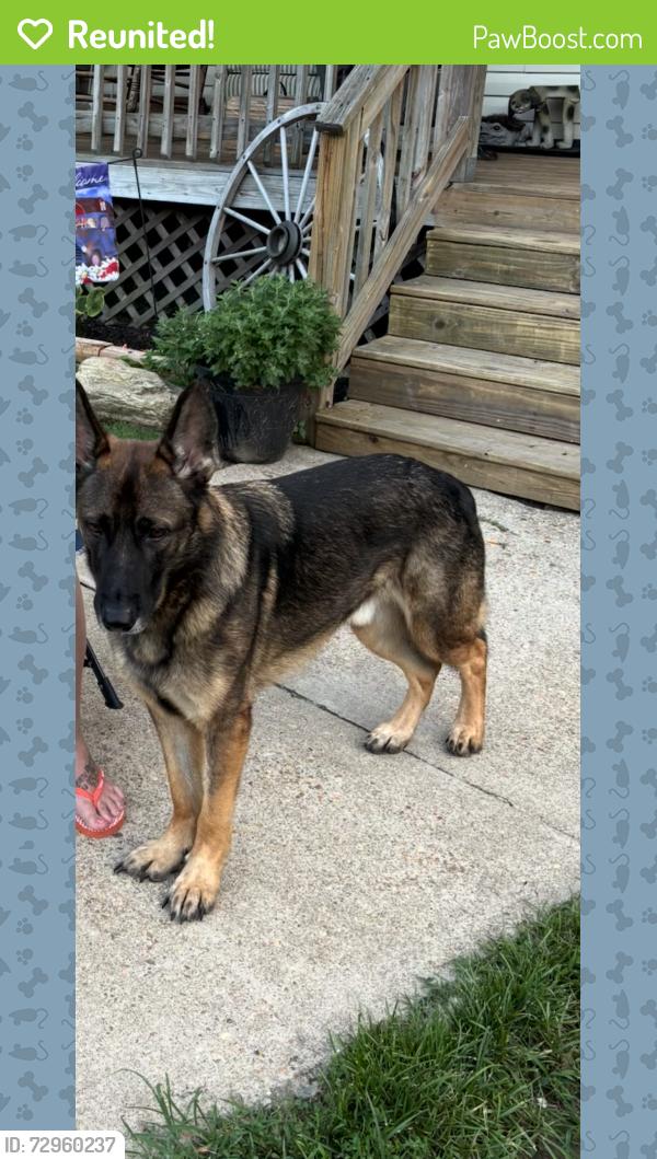 Reunited Male Dog last seen Near Brock Rd , Spotsylvania Courthouse, VA 22553