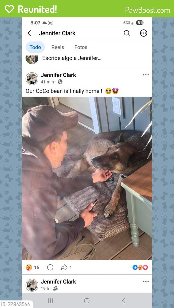 Reunited Male Dog last seen 221st Street is the one near the hse close to Harris and Chase. , Forest City, NC 28043