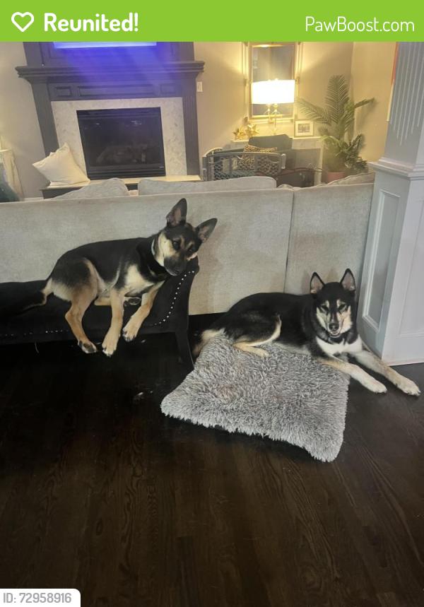 Reunited Male Dog last seen 143rd and Greenwood , Olathe, KS 66062