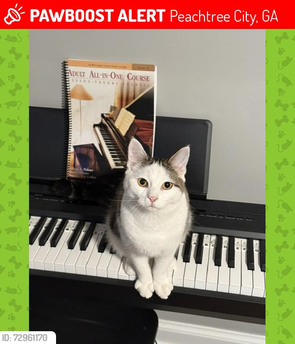 Lost Male Cat last seen Retreat at kendron village, Peachtree City, GA 30269