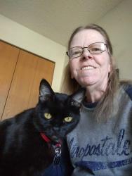 Lost Male Cat last seen Morgan town road, Franklin, KY 42134