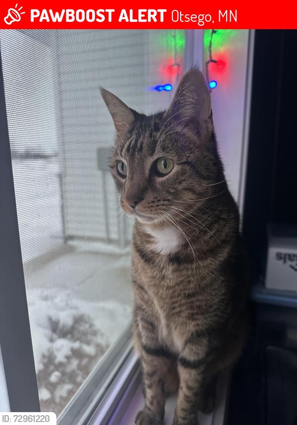 Lost Male Cat last seen Near Kalland Cir NE, Ostego, MN 55301 , Otsego, MN 55301