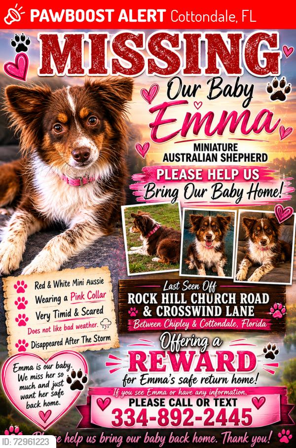 Lost Female Dog last seen Rockhill church rd , Cottondale, FL 32431