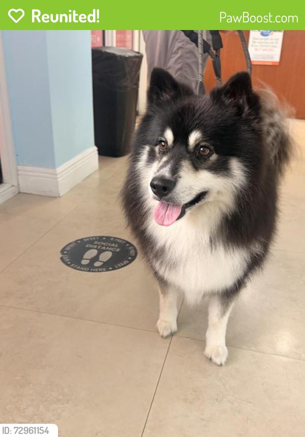 Reunited Male Dog last seen Miccosukee Golf course , Miami, FL 33183