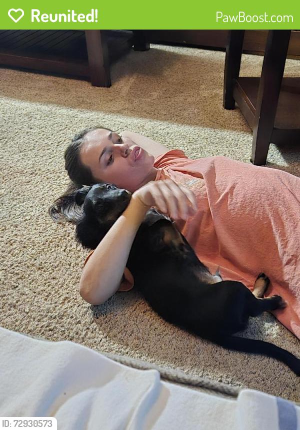 Reunited Male Dog last seen It 13, Dover, DE 19901