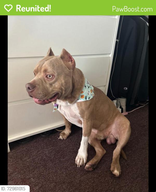 Reunited Male Dog last seen Atala e Pl, Fallbrook, CA 92028