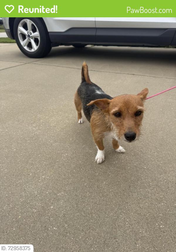 Reunited Male Dog last seen Blockade runner dr, Fayetteville, NC 28306