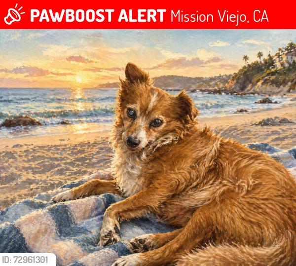 Lost Female Dog last seen Berwick and Braemar (neighborhood streets) or Marguerite and Hillcrest (main streets), Mission Viejo, CA 92691