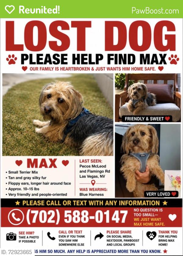 Reunited Male Dog last seen Pecos mcleod and flamingo rd, Las Vegas, NV 89121