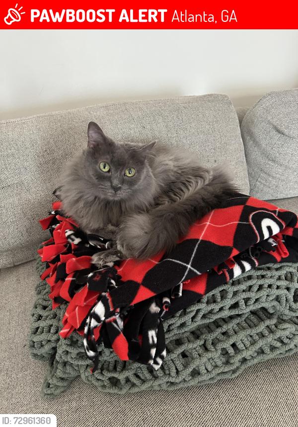 Lost Male Cat last seen Near Hermance and Windsor Parkway, Atlanta, GA 30319