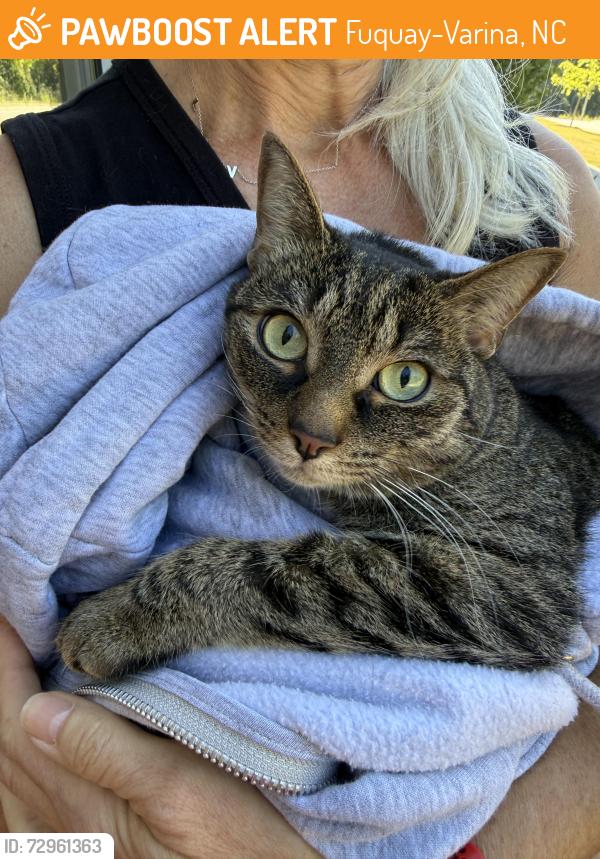 Found/Stray Unknown Cat last seen Fuquay Varina Middle School , Fuquay-Varina, NC 27526